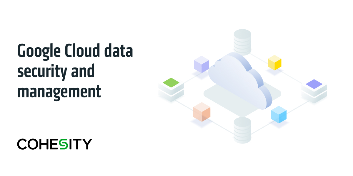 Gestión de datos, seguridad y copia de seguridad de Google Cloud | Cohesity